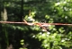 2008-06-30--15-52-16