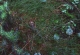 2008-07-09--19-38-10