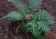2008-07-10--12-27-38
