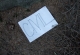 2008-07-02--19-19-05