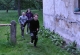 kratizna_2018_211
