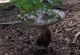 2008-07-01--12-57-47