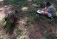 2008-07-01--12-59-19