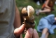 2008-07-01--14-11-21