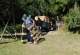 den_11-08