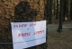 den_13 (12)