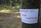 den_13 (15)