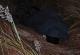 den_14 (26)