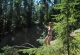 mini-JULIN_219