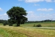 mini-JULIN_348