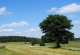 mini-JULIN_349