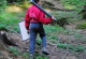 mini-JULIN_63