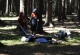 mini-JULIN_151