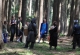kachla_2012_0117