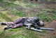kachla_2012_0204