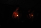 kachla_2012_0228