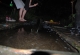 kachla_2012_0454