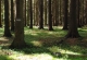 kachla_2012_1232