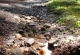 kachla_2012_1233
