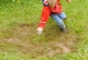 kachla_2012_1246