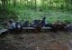 kachla_2012_1317