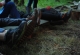 kachla_2012_1318