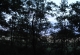 kachla_2012_1347