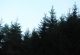 kachla_2012_1351