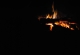 Kachla_2012_1394