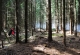 k2013_1_0009