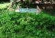 k2013_1_0013