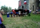 k2013_6_0353