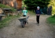 k2013_8-10_0516
