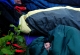 k2013_8-10_0581