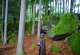 kachla_1502