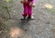 kachla_1555
