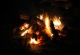 kachla_1711