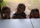 kachla_184
