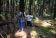 kachla_565