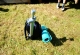 kachla_796