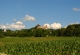 kachla_873