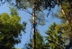 kachla_884