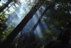 kachla_885