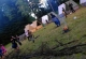 kachla_959