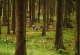kachlicka_2015_0898