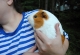 kachlicka_2015_0998