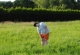 kachlicka_2015_0199