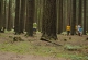 Kachla_2016_0394