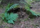 kachla_2017_0514