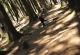 kachla_2018_0260